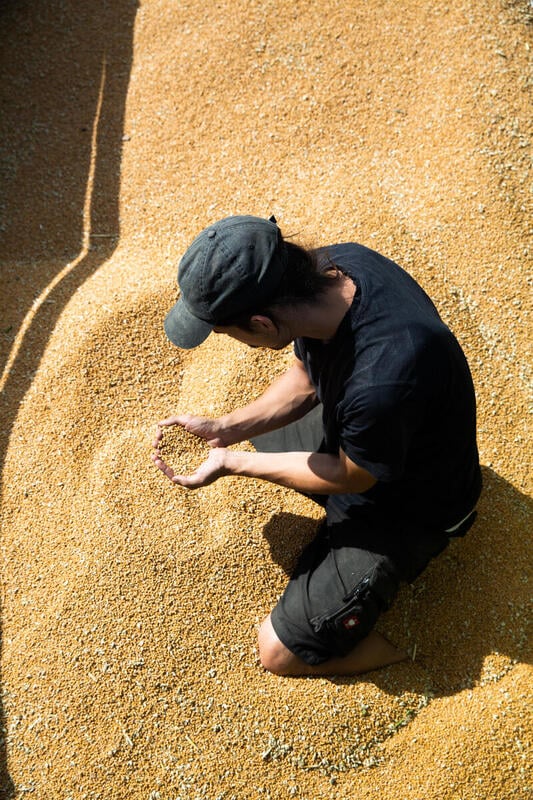 Rapport Greenpeace : les géants de l’agroalimentaire réalisent des milliards de bénéfices grâce à la guerre et à la pandémie