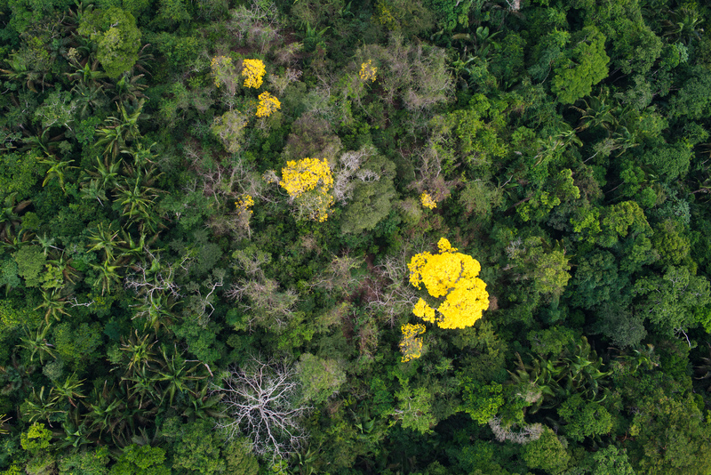 Forests for Climate: Technical report on hybrid funding mechanism