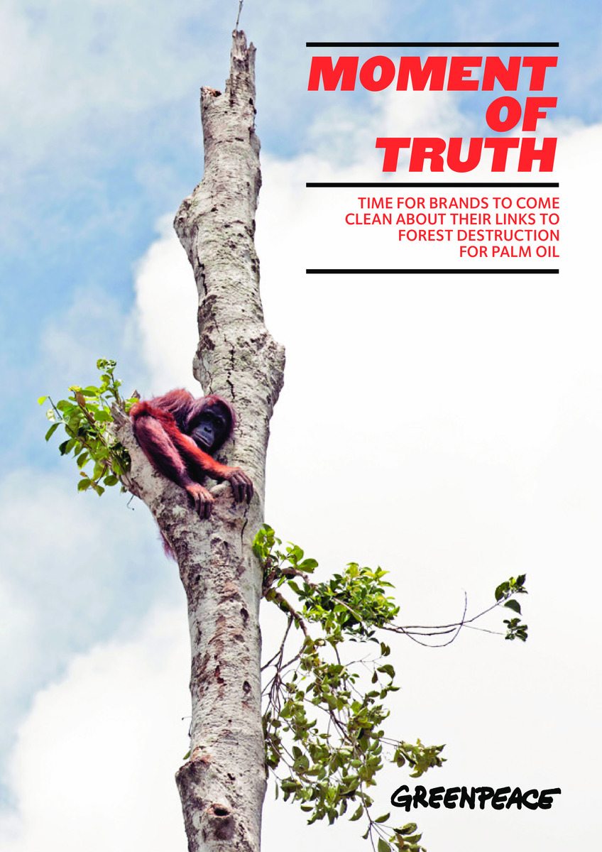 Moment of Truth: Time for Brands to Come Clean About Their Links to Forest Destruction for Palm Oil