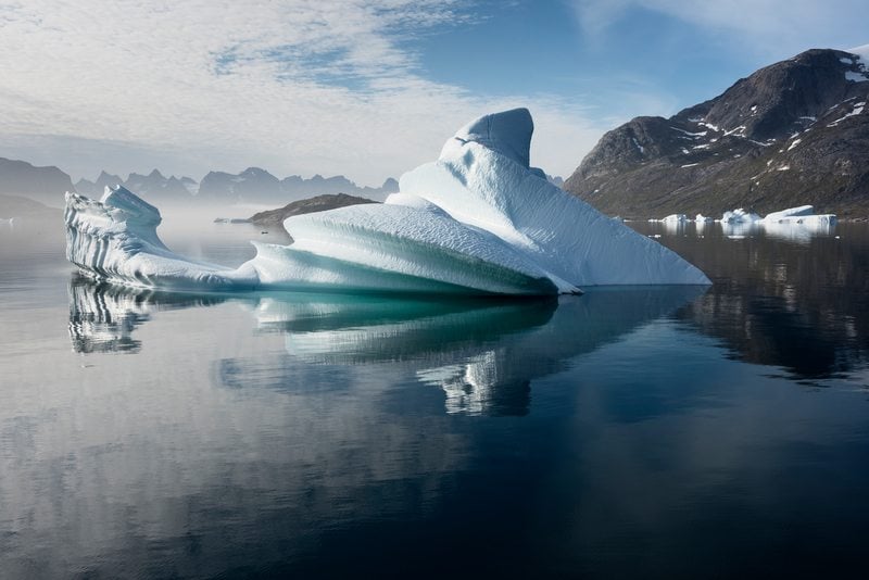 A Review of the Impact of Seismic Survey Noise on Arctic Wildlife