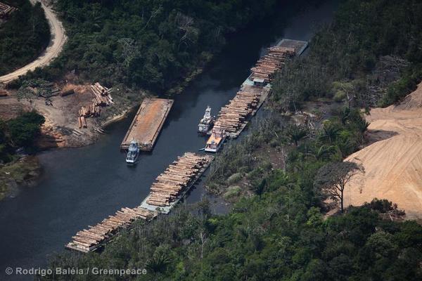 Liberian Timber Trade Fuels Regional Insecurities