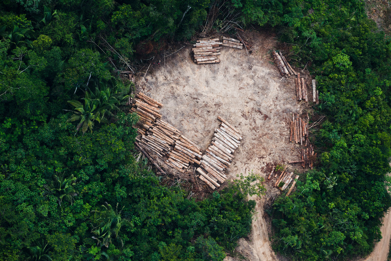 Logs of War