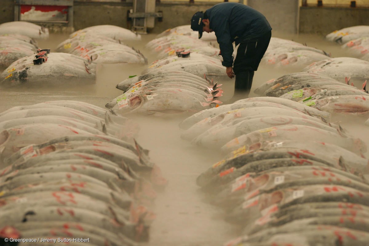 The high cost of cheap tuna: US supermarkets, sustainability, and human rights at sea (3rd edition)