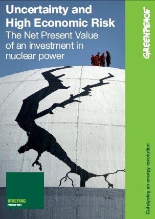 Uncertainty and High Economic Risk: The Net Present Value of an investment in nuclear power