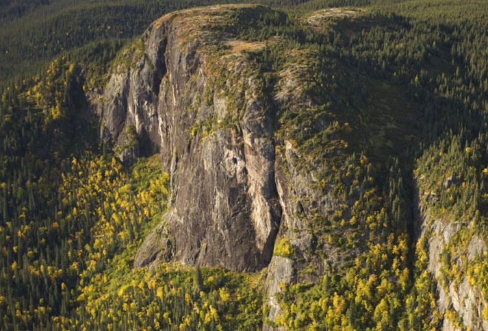 Western Forest Products, Logging Practices and the Forestry Stewardship Council’s Principles and Criteria
