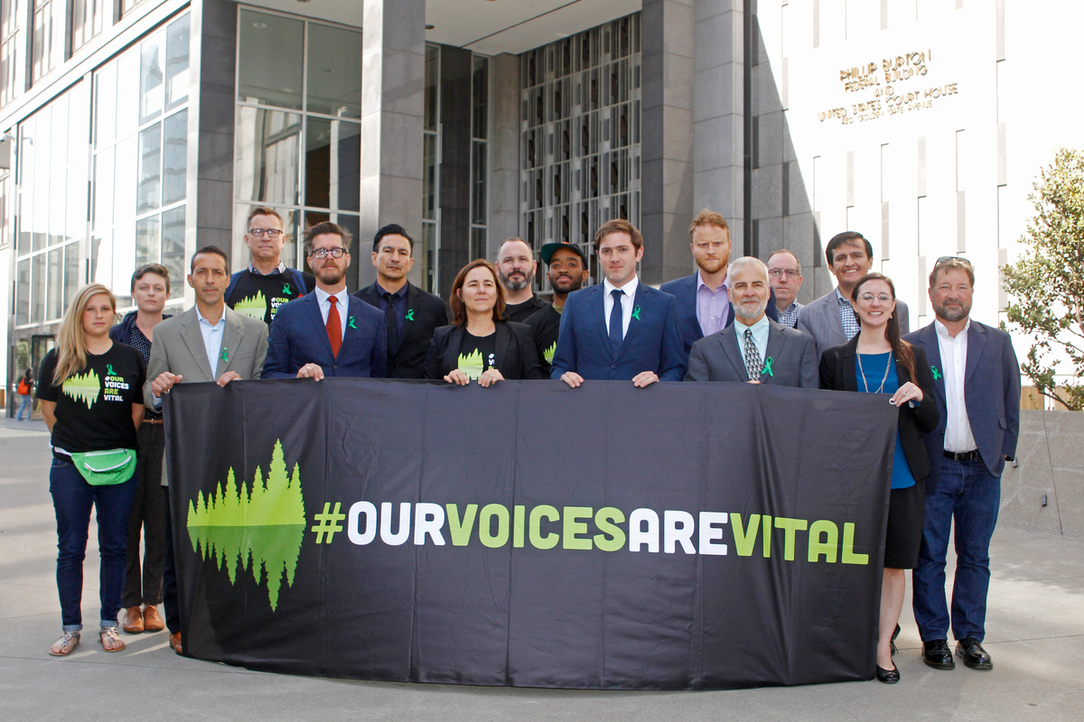 Greenpeace and Corporate Reform