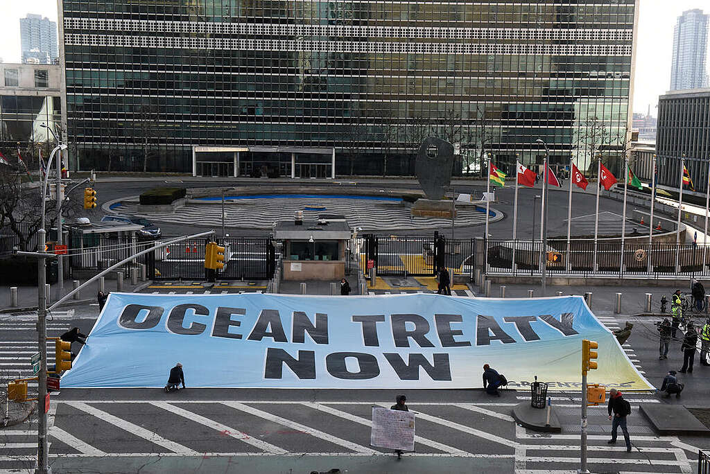 ‘Ocean Treaty Now’ Banner outside the UN in New York. © Stephanie Keith / Greenpeace ‘Ocean Treaty Now’ Banner outside the UN in New York. © Stephanie Keith / Greenpeace