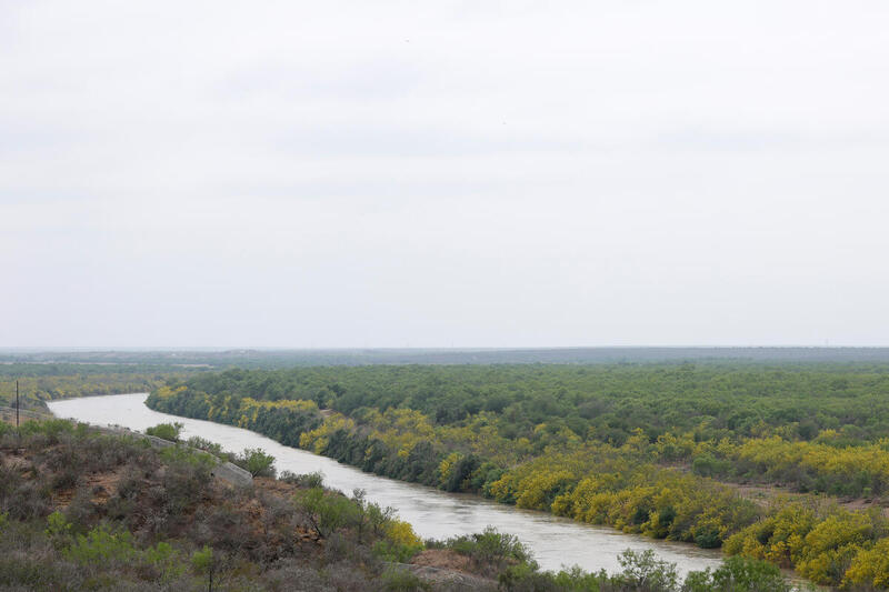 Endangered Forests Definition: The Wye River Process
